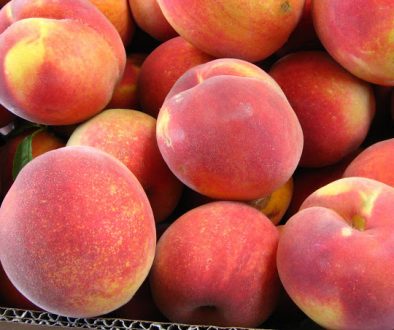 Files Family Farm Freestone Peaches