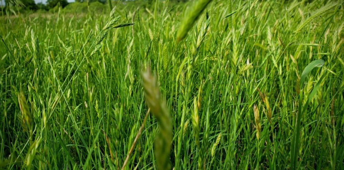 20190506_085119-EDIT