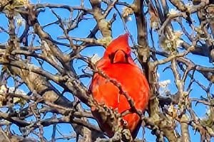 6f11703e-a6c3-4dfa-bf79-2014c7daef20-051f9513-681f-4aab-a4e0-9f283a2387ee~2