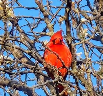 6f11703e-a6c3-4dfa-bf79-2014c7daef20-051f9513-681f-4aab-a4e0-9f283a2387ee~2