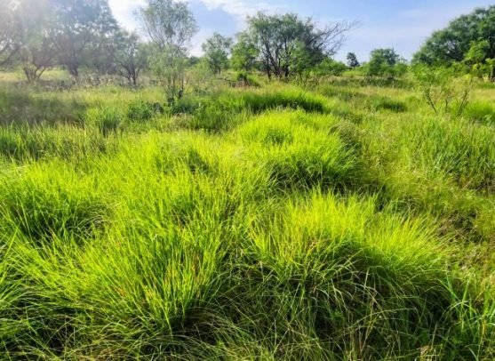 70d68f3d-652a-4a68-a621-fc900eb6092c-ec262805-da7a-41ba-96cd-bd145158c2e2~2