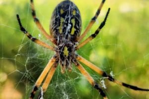 aa323a6e-a3b3-409d-a3c6-80420fff4d9e-4baa5155-fa1c-4479-a1b8-6ddac94c5262~2