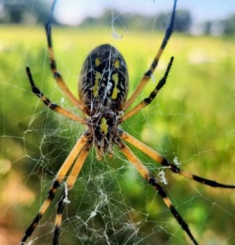 aa323a6e-a3b3-409d-a3c6-80420fff4d9e-4baa5155-fa1c-4479-a1b8-6ddac94c5262~2