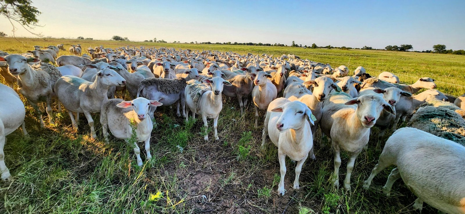 20250810_192810-EDIT