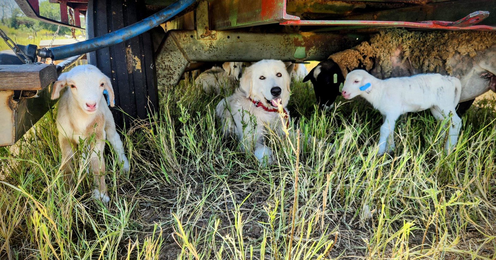 20250814_124557-EDIT