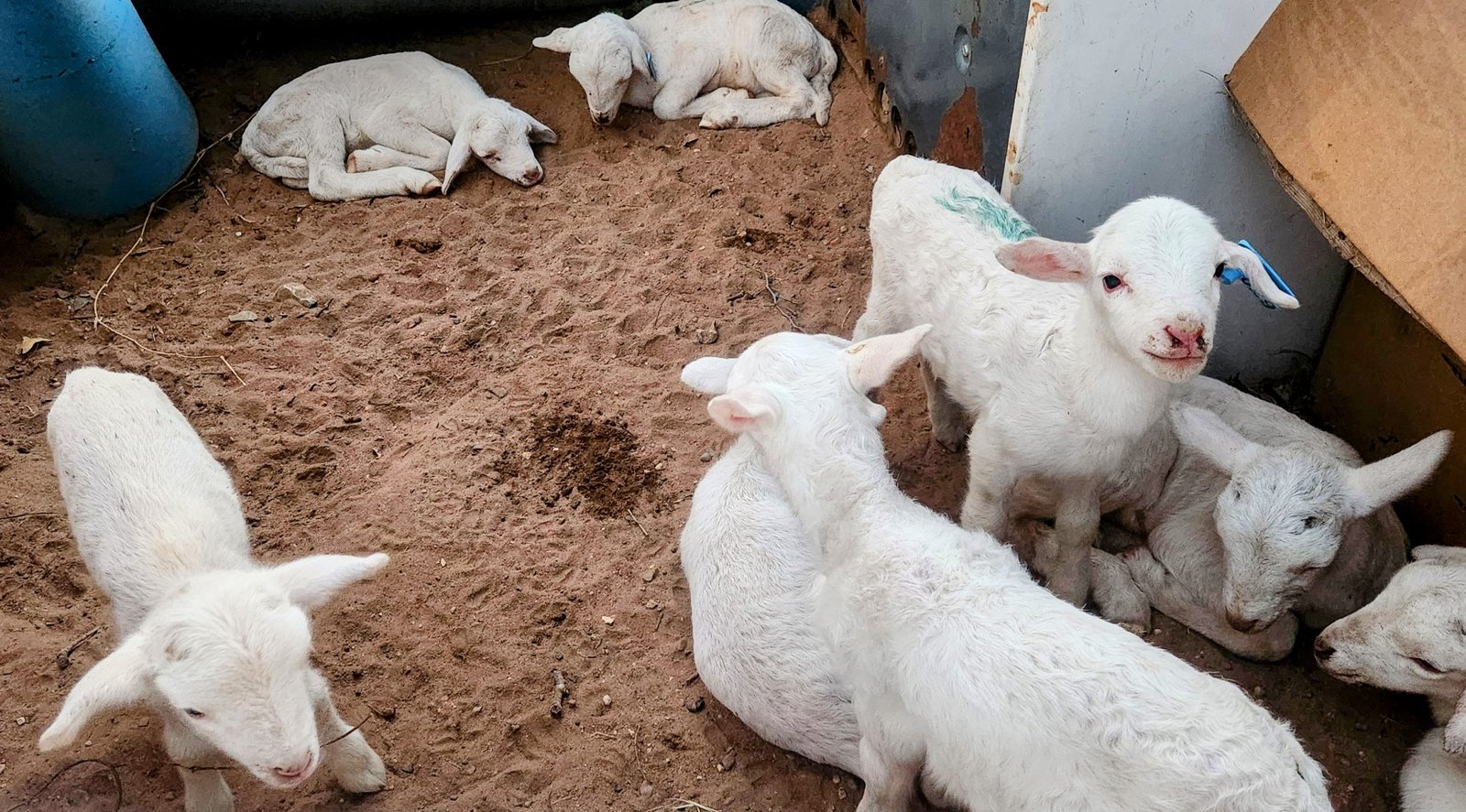 20250827_070441-EDIT