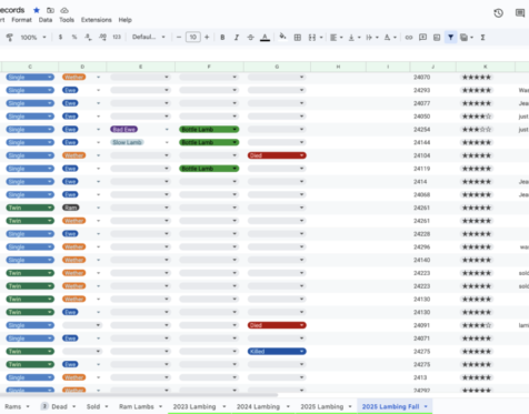 Screenshot 2026-01-12 at 11.42.27 AM