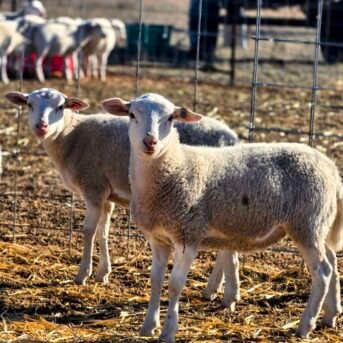 20260106_152744-EDIT