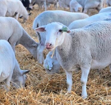 20260106_174719-EDIT