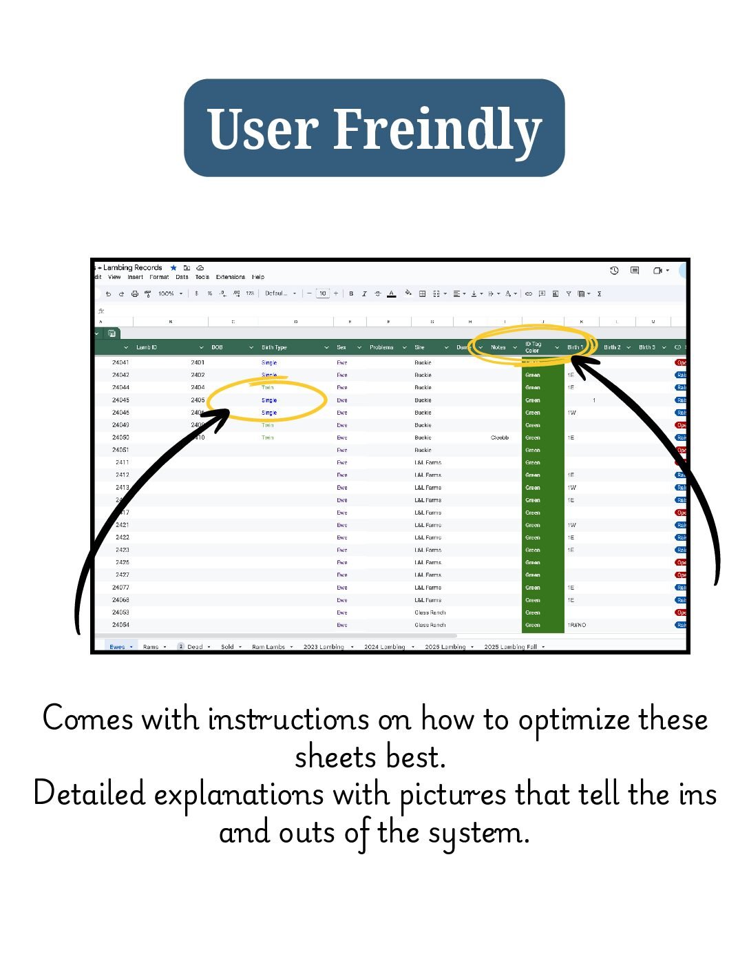 Complete Sheep Records System- In Google Sheets - Image 4