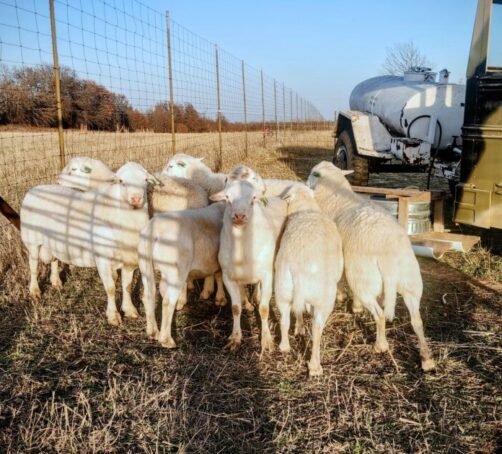 20250307_180005-EDIT