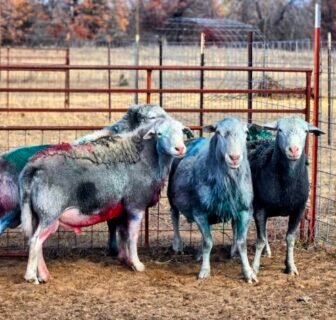 20251213_112142-EDIT