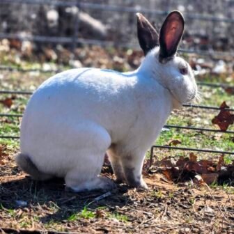 20260303_103436-EDIT