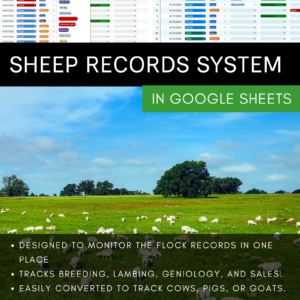 Complete Sheep Records System- In Google Sheets